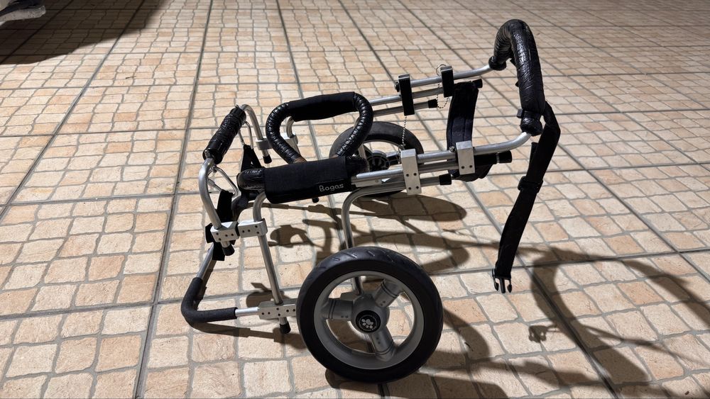 Cadeira de rodas para cão