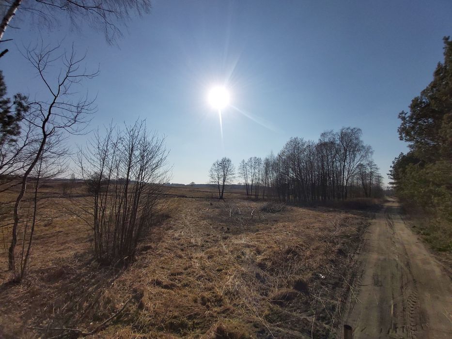 Działka 14 ar z WZ i Mediami - View 2