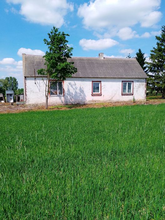 Działka z bydunkiem/siedlisko, Stanisławów blisko Uniejowa - Widok 5