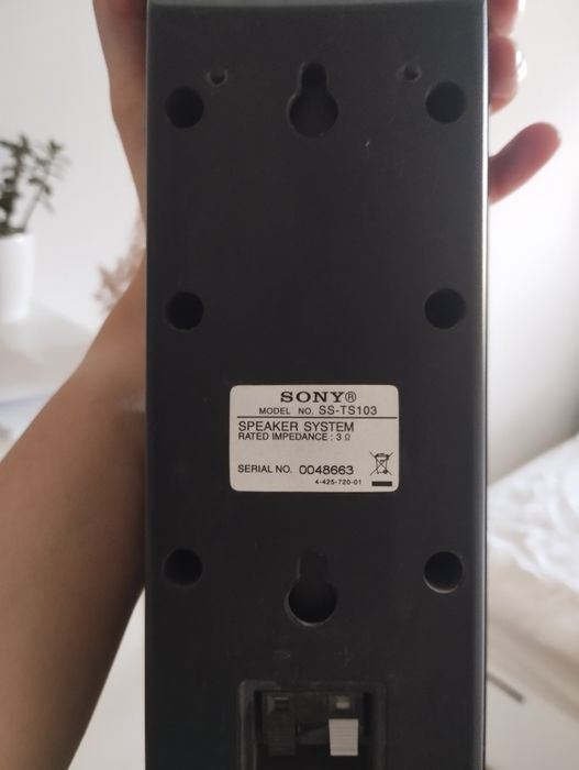 2 Głośniki Sony kolumnowe SS-TS103