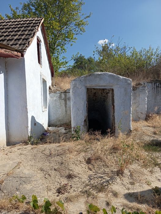 Продається будинок з господарськими будівлями