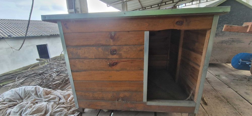 Casotas de cães xl