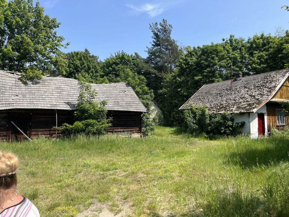 Działka , las + zabudowania ( dom, stodola, obora itd.)