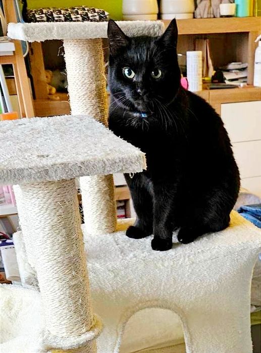 Czarna mama i dzieciaki