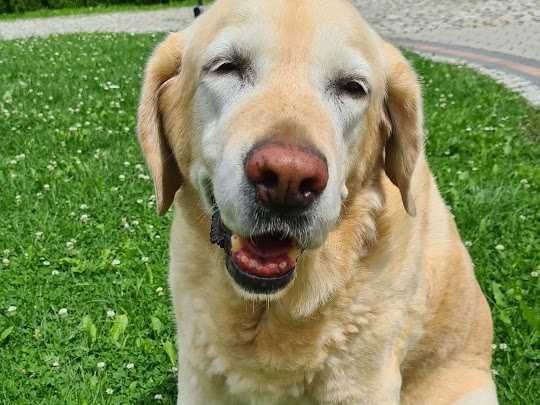 WOLNE Apartamenty nocleg Kęty jacuzzi SAUNA