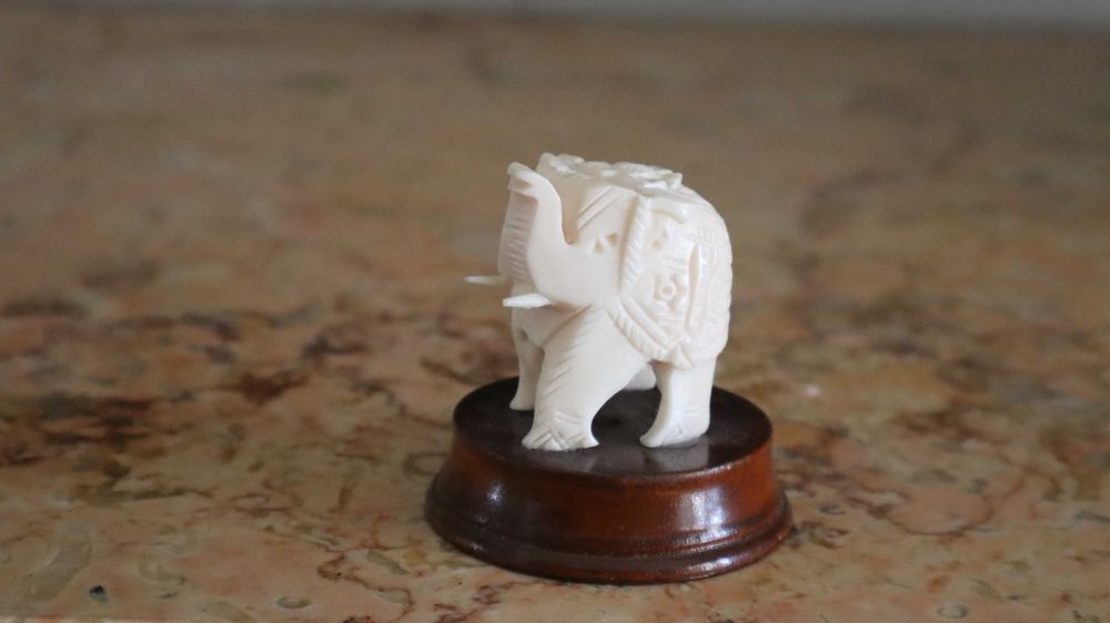 Escultura de Elefante  - Osso