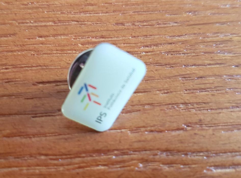 Pin IPS (novo)