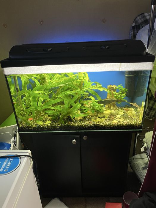 Акваріум 150 л. Разом з рибками