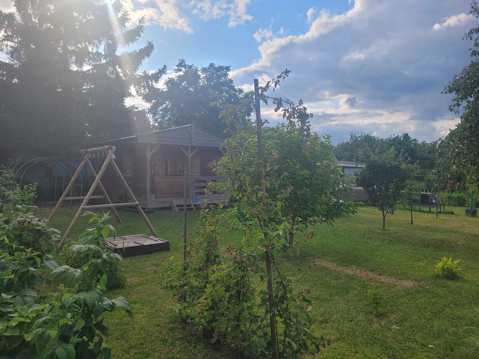 Prawo do działki ROD Magnolia