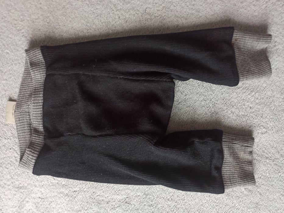 Longi manymonts charmer