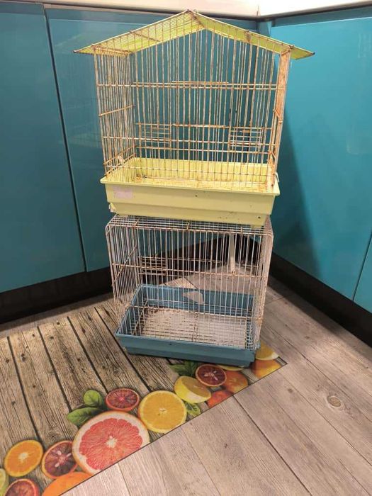 Duas Gaiolas apenas 10eurs