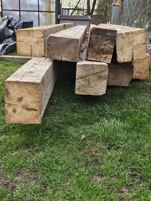 Belki stare świerk sosna