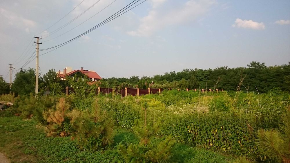 Відділ продажу Нова Флорінка (Флоринка)  продаємо ділянку 11 соток