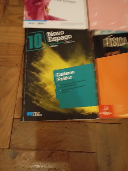 Cadernos de atividades 10°ano