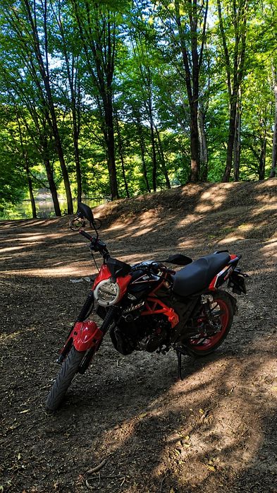 Mustang XTREET 250