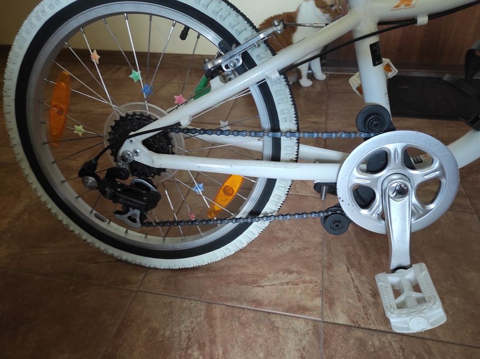 Specialized Hotrock 20 rower dziecięcy