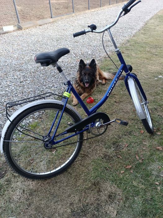 Rower Univwrsal koła 24”