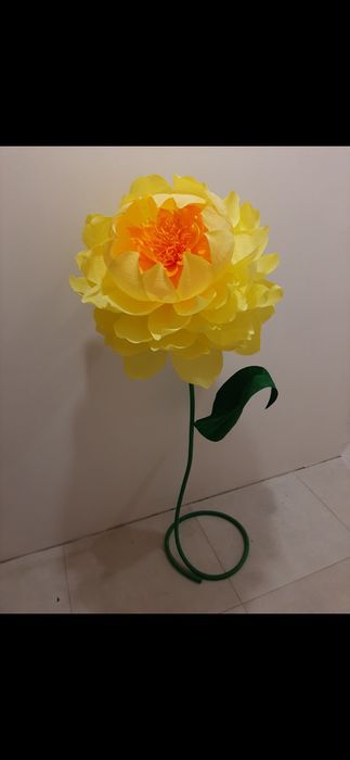 Ростові квіти Ростовые цветы розы фотозона