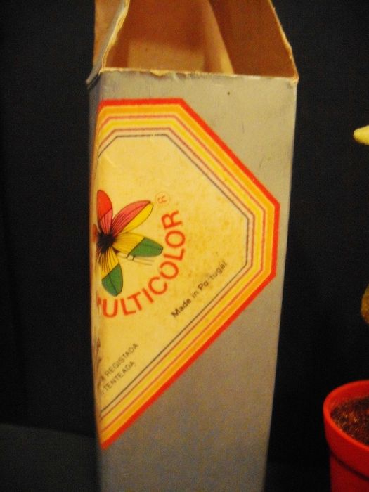 Flor que muda de cor conforme o tempo - Portuguesa