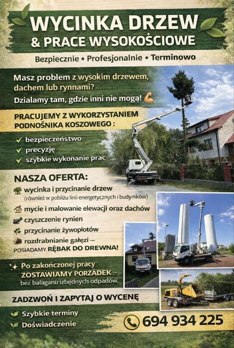Wycinka drzew i prace wysokościowe