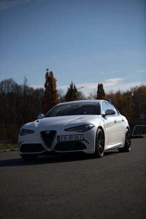 Alfa Romeo Giulia alfa giulia qv