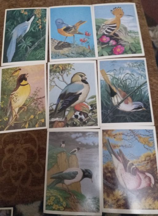 Открытки  птицы и животные