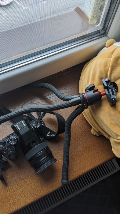 Камера Panasonic G80