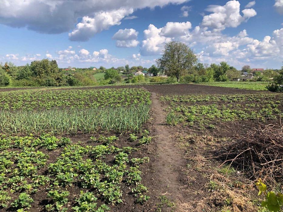 Продаємо будинок в с. Мала Вільшанка, Білоцерківський район.