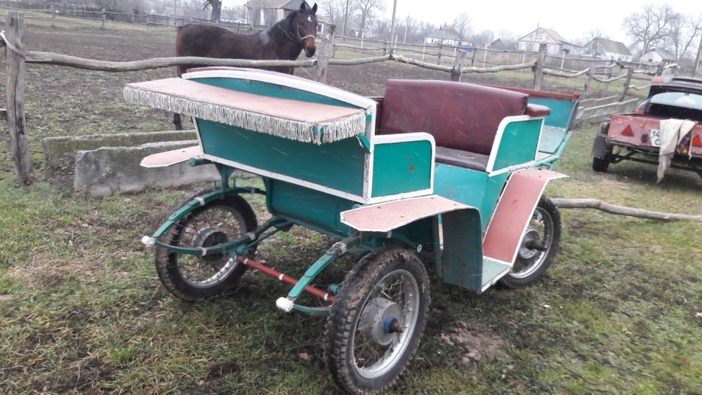 Фаєтон,карета, бричка.