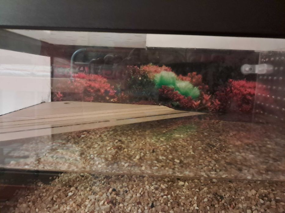 Vendo terrario como novo (2 anos de uso) para tartarugas da Terratlantis.