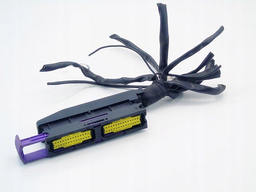 Wtyczka Kostka Renault Modus Clio 3 Kangoo Megane 2 Laguna 2 3 Master