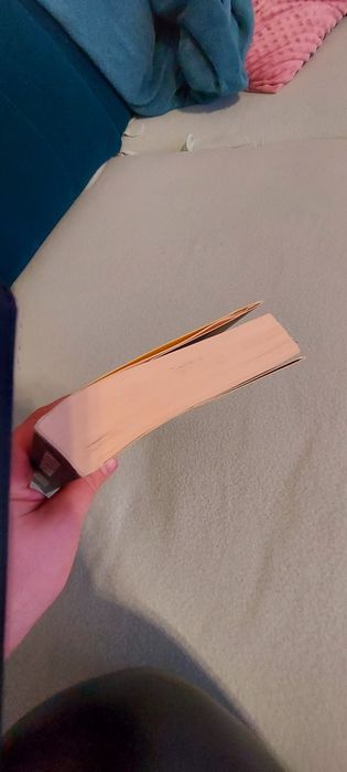 Służąca Alicja Sinicka