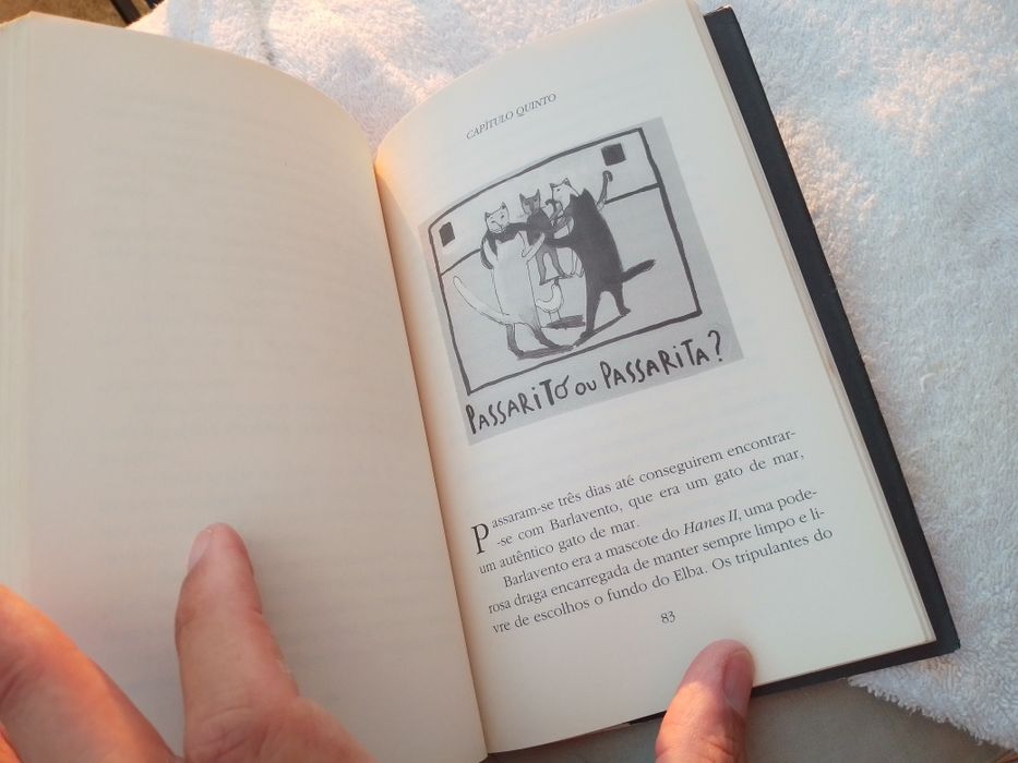 História Gaivota e gato que a ensinou a voar-Sepu5E-B.antigo2E Desde2E