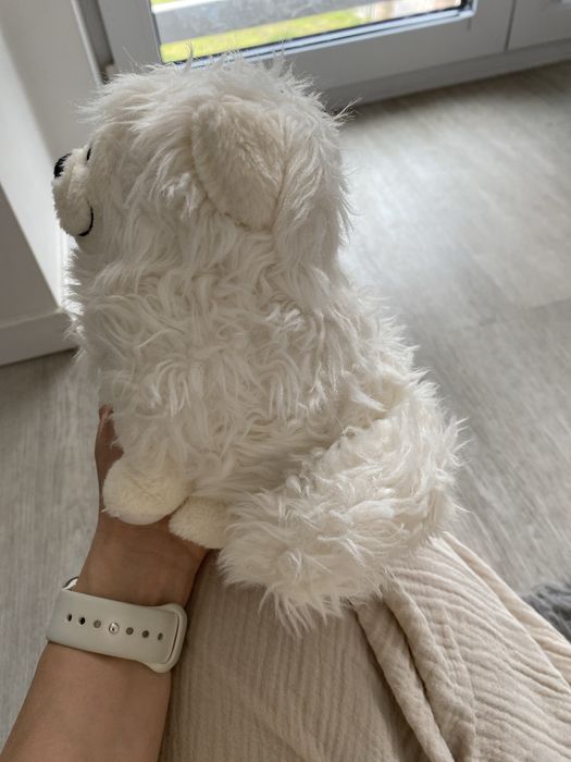 Pieski przytulanki 18 cm