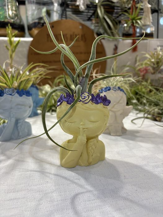 Suporte para planta aerea