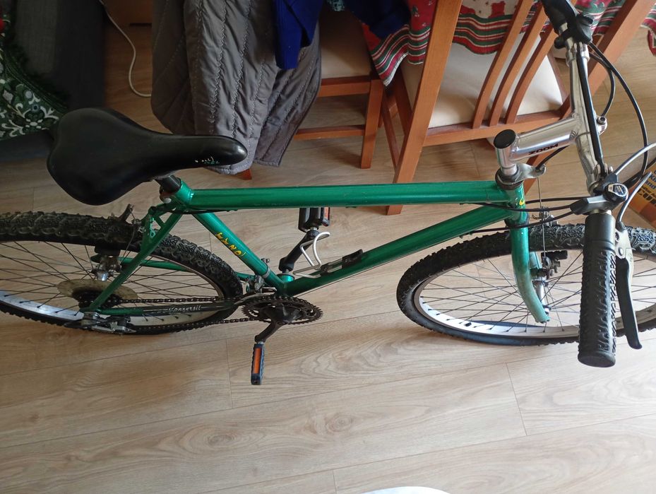 Bicicleta usada verde