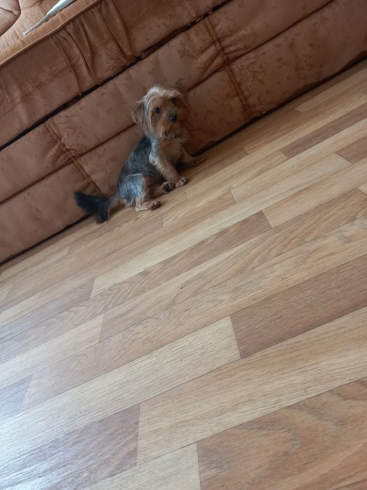 Очень милая малышка!