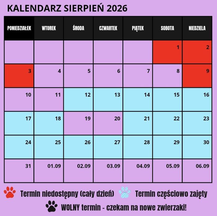 Opieka nad zwierzętami / Petsitter / Spacery z psem / Koty / Kraków