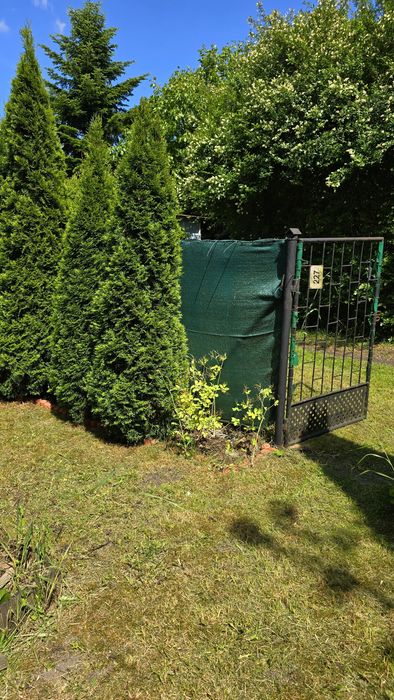 Działka ROD Urodzaj