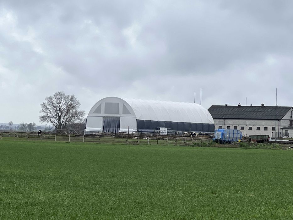 Hala Namiotowa, Hala dla Bydła, Hala na Bale, Ujeżdżalnia