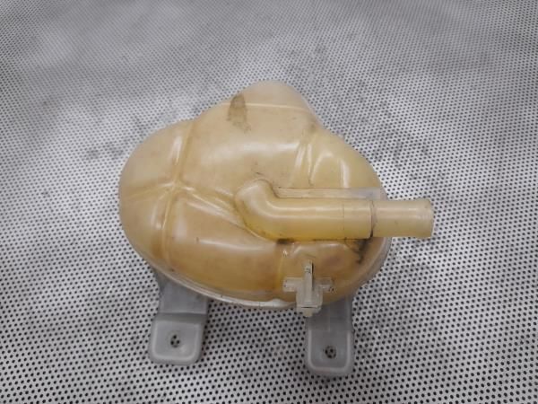 Vaso Expansao / Radiador FIAT Punto Evo (199_)