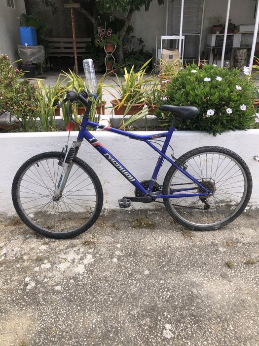 Vendo bicicleta azul