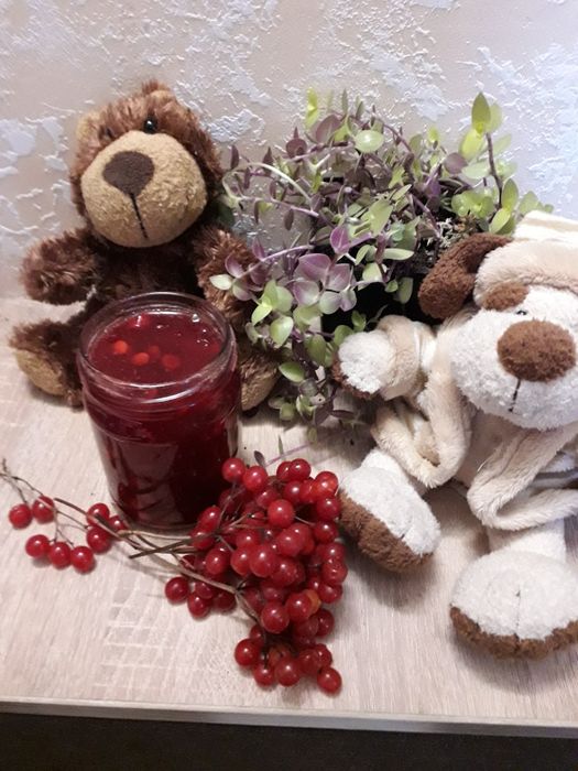 Обліпиха , Малина, чорниця, актинідія,,  свіжі та перетерті  з