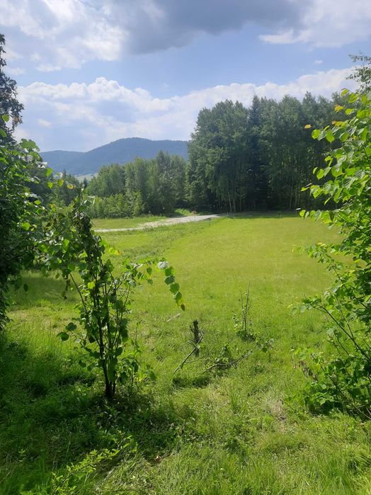 Sprzedam działkę budowlaną rekreacyjną