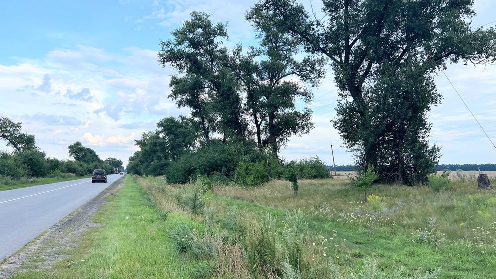 Продаж землі в с.Требухів 1.9 га  фасада дороги