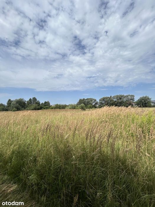 Działka budowlana 1098 m² Kalety Centrum