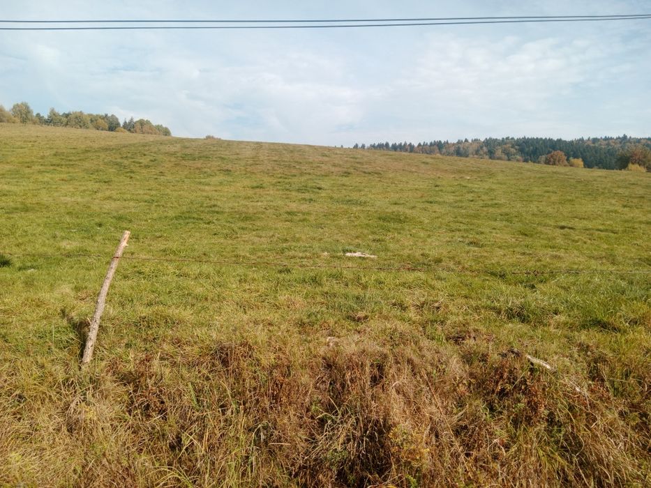 Działka 15ar z MPZP w Bieszczadach w Łodynie koło Ustrzyk Dolnych przy drodze asfaltowej powiatowej - Więcej
