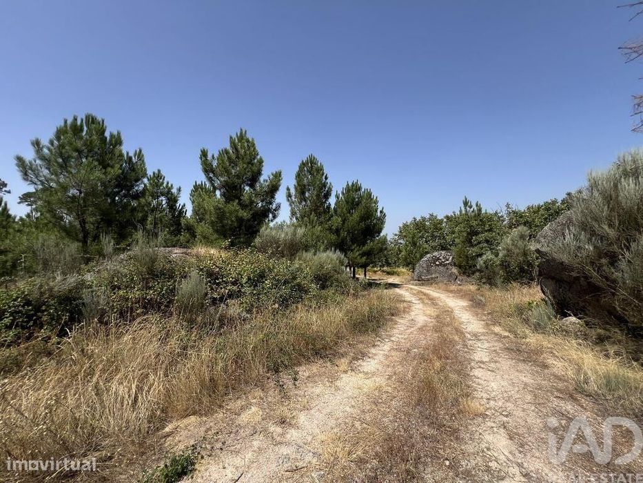 Terreno em Sernancelhe e Sarzeda de 44527,00 m2