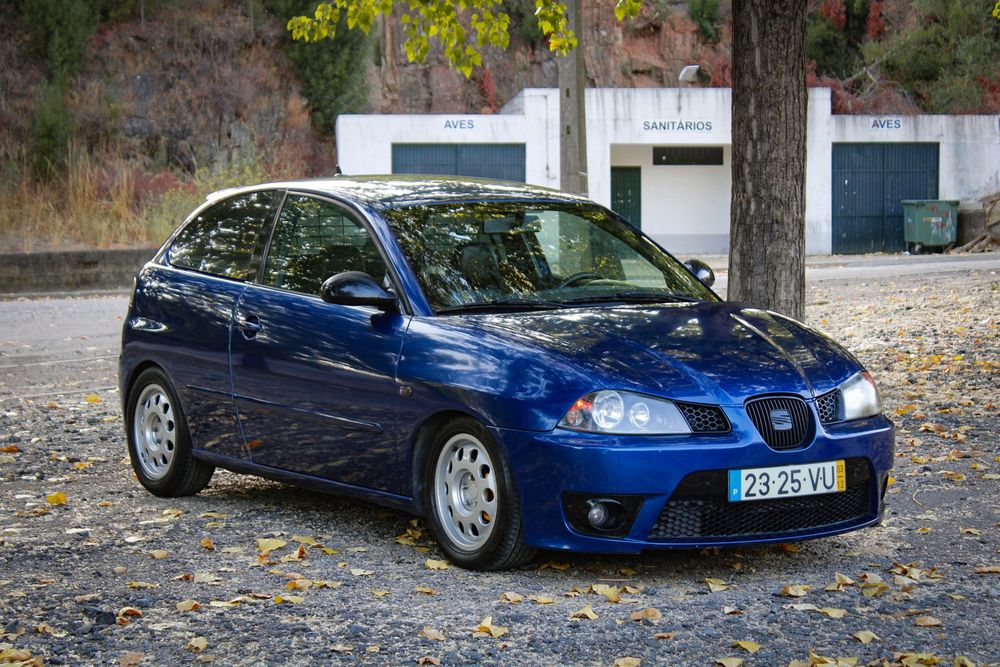 Seat Ibiza 6L PD 3xx