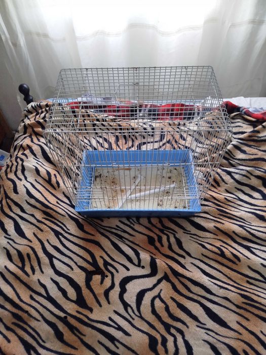 Gaiolas em bom estado